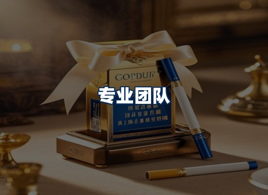 专业团队